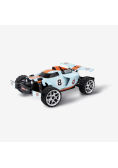 RC Cars Profi