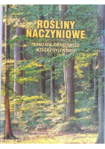 Rośliny naczyniowe Parku Krajobrazowego Wzgórz Dylewskich
