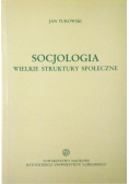 Socjologia Wielkie struktury społeczne