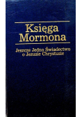Księga Mormona Jeszcze jedno świadectwo o Jezusie Chrystusie