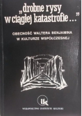 Drobne rysy w ciągłej katastrofie