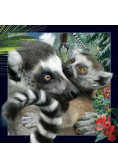 Magnes 3D Lemur
