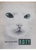 Styczyński Koty
