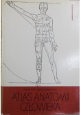 Atlas anatomii człowieka 1