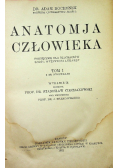 Anatomja człowieka tom I 1921 r.