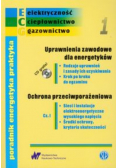 Poradnik energetyka praktyka Zeszyt 1 z CD