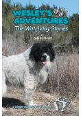 Wesley's Adventures