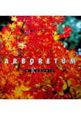 Arboretum w Rogowie