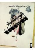 Cielenie lodowca