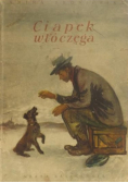 Ciapek włóczęga