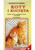 Koty i kocięta