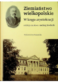 Ziemiaństwo wielkopolskie Między wsią