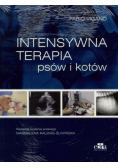 Intensywna terapia psów i kotów