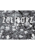 Żoliborz w fotografii Andrzeja Jastrzembskiego
