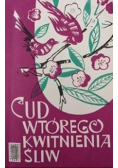 Cud wtórego kwitnienia śliw