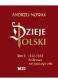 Dzieje Polski.Tom 3.1340-1468 Królestwo zwycięski