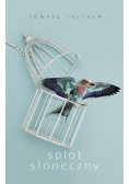 Splot słoneczny
