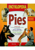 Encyklopedia pies
