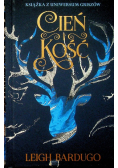 Trylogia Grisza T.1 Cień i kość