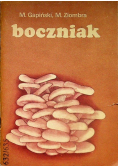 Boczniak