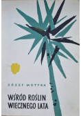 Wśród roślin wiecznego lata