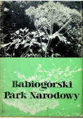 Babiogórski Park Narodowy