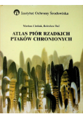 Atlas piór rzadkich ptaków chronionych