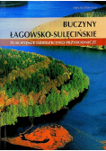 Buczyny łagowsko sulęcińskie