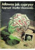 Jałowce jak cyprysy