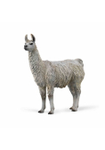 Lama