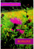Rośliny