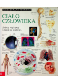 Ilustrowane słowniki ciało człowieka
