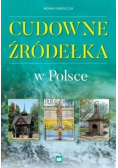 Cudowne źródełka w Polsce