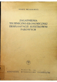 Zagadnienia techniczno ekonomicznej eksploatacji elektrowni parowych