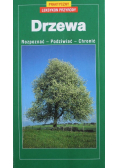 Drzewa rozpoznać podziwiać chronić