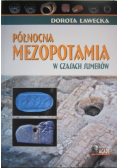Północna Mezopotamia w czasach sumerów