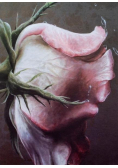 Fotoalbum kieszeniowy klejony Floret