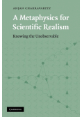 A Metaphysics for Scientific Realism