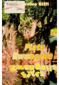 Piąta Ewangelia