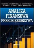 Analiza finansowa przedsiębiorstwa w.3