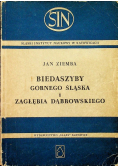 Biedaszyby Górnego Śląska i Zagłębia Dąbrowskiego
