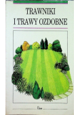 Trawniki i trawy ozdobne