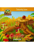 Sekrety Lasu  7 Grzyby