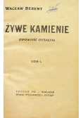 Żywe kamienie  1918 r.