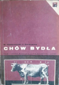 Chów bydła