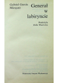 Generał w labiryncie