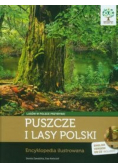 Puszcze i lasy Polski z CD