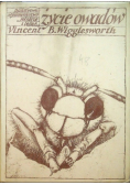 Życie owadów