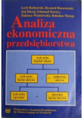 Analiza ekonomiczna przedsiębiorstwa