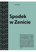 Spodek w Zenicie. Przewodnik po architekturze..